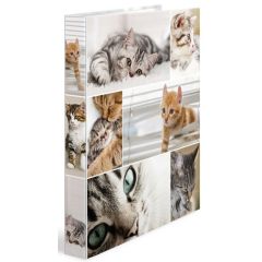 Classeur à 4 anneaux - Dos de 35 mm - Chats HERMA Image