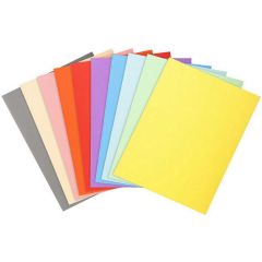 Photo Chemises A4 pour dossiers - Assortiment EXACOMPTA Forever 170