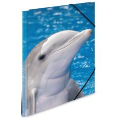 Photo Chemise à rabats à motifs - A4 : HERMA Dauphin (7141)