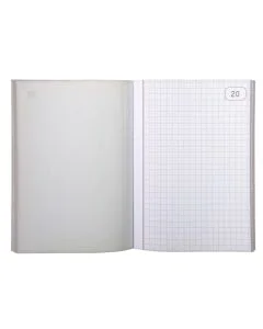 LE DAUPHIN : Manifold autocopiant Dupli - Quadrillé - 148 x 105 mm Modèle