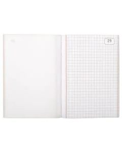 LE DAUPHIN Carnet autocopiant tripli Quadrillé148 x 105 mm 1103D Modèle