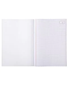 LE DAUPHIN 1113D Manifold quadrillé autocopiant tripli  210 x 148 mm Modèle 