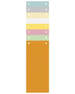 Intercalaires bristol - 240 x 105 mm - Assortiment EXACOMPTA visuel