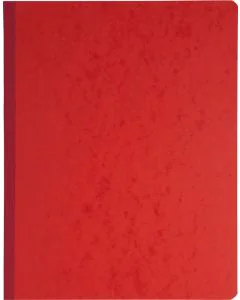 EXACOMPTA 14130E Registre comptable - 13  colonnes  320 x 250 mm  Journal comptable