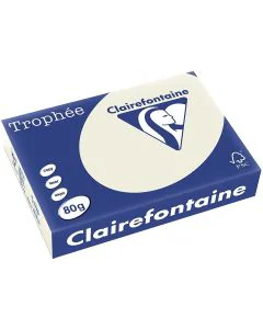 Ramette de papier Trophée de 500 feuilles A4 - Gris Perle : CLAIREFONTAINE Image