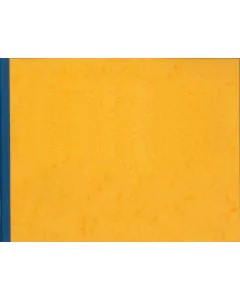 Registre à têtes paresseuses - 13 colonnes 100 pages - 250 x 320 mm : ELVE 184131