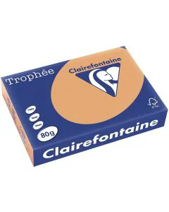 Ramette de papier Trophée de 500 feuilles A4 - Caramel : CLAIREFONTAINE Visuel