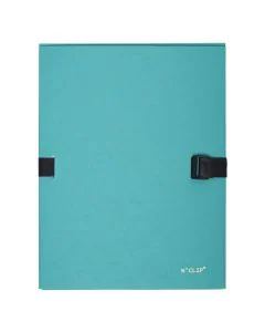 EXACOMPTA : Chemises à clip - Vert 21507E