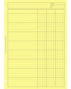 Bloc Audit Jaune 3 colonnes - Feuille de travail (ELVE 2631)