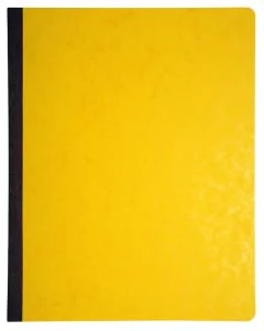LE DAUPHIN 3060D Registre de 13 colonnes sur 1 page - 315 x 245 mm Journal comptable