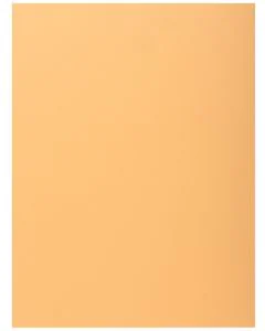 Lot de 50 Chemises à 1 rabat - Bulle EXACOMPTA Super 210 Image