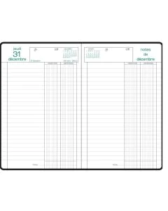 Agenda 2025 Recettes et Dépenses EXACOMPTA 135 x 210 mm Modèle