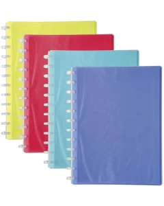Protège-Documents de 40 Vues détachables - Assortiment : EXACOMPTA Linicolor Visuel