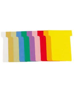 Etui de 100 Fiches T - Indice 2 / 60 mm - Assortiment EXACOMPTA