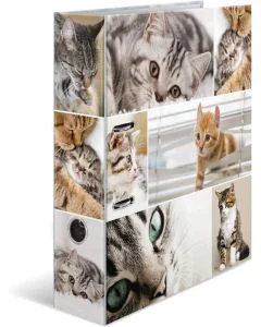 Classeur à levier - Chats - Dos de 70 mm : HERMA Animaux Image