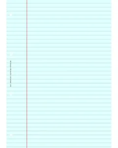 BLOC DE REVISION COMPTABLE :  Feuille Lignée A4 Bleu ELVE 2622