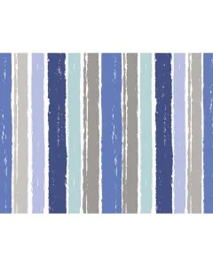 Set de Table Restaurant - Cabanon COGIR Lot de 400