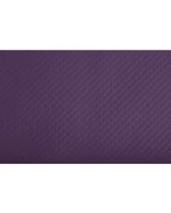 Sets de Table en papier - Aubergine : COGIR Lot de 500 Visuel