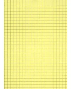 Lot de 100 Fiches Bristol A6 - 105 x 148 mm - Jaune quadrillé ELVE B10513J Fournitures jaune