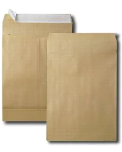 Pochettes Kraft armé à soufflet 50 mm - 260 x 330 mm : GPV Lot de 50 Modèle