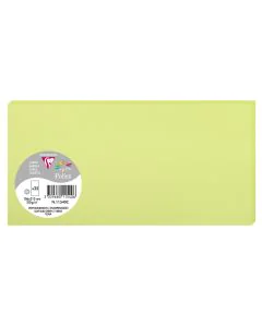 Photo POLLEN Carte DL vert bourgeon 106 x 213 mm 11540C Clairefontaine