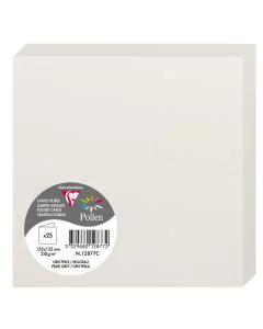 Photo Cartes double en papier - 135 x 135 mm - Gris Perle CLAIREFONTAINE Pollen Lot de 25