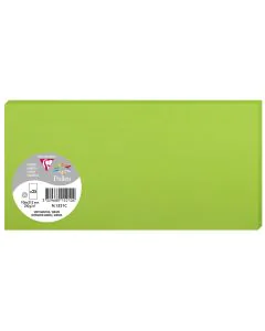 Photo POLLEN Carte DL vert menthe 106 x 213 mm 1521C Clairefontaine