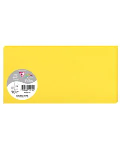 Photo POLLEN Carte DL Jaune soleil 106 x 213 mm 1523C Clairefontaine