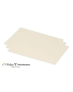 Photo POLLEN Carte Ivoire 158 x 222 mm C5 1617C Clairefontaine