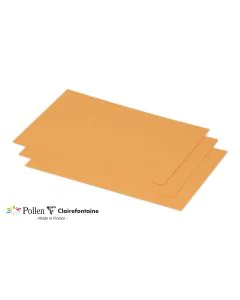 Photo POLLEN Carte Clémentine 158 x 222 mm C5 1636C Clairefontaine