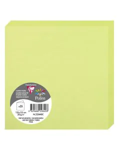 Photo Cartes double en papier - 135 x 135 mm - Vert Bourgeon CLAIREFONTAINE Pollen Lot de 25