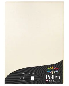 Photo Feuille de couleur Ivoire irisé  210 x 297 mm A4 POLLEN 24303C