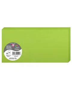Photo POLLEN : Carte double de papier - Format DL - Vert menthe 2521C