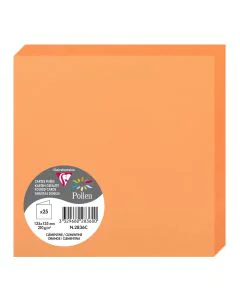 Photo Cartes double en papier - 135 x 135 mm - Clémentine CLAIREFONTAINE Pollen Lot de 25