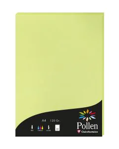 Photo Feuille de couleur Vert bourgeon 210 x 297 mm A4 POLLEN 44205C