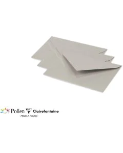 photo Enveloppe POLLEN Argent Format  75 x 100 mm 54070C