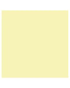 Feuille de papier dessin Mi-teintes Citron pastel 500 x 650 mm : CANSON