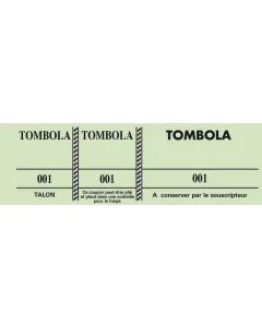 TOMBOLA Carnet de 100 tickets Verts Modèle