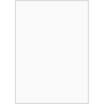 ELVE B105 : Lot de 100 fiches bristol A6 - 105 x 148 mm - Blanc uni