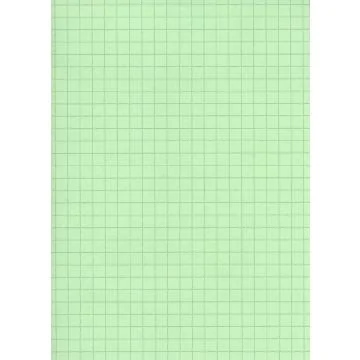 ELVE : Lot de 100 fiches bristol A4 - 297 x 210 mm  B29713V- Vert quadrillé (Fournitures)