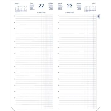 Agenda Journalier 2024 - Recettes et Dépenses - 140 x 350 mm : LECAS pages