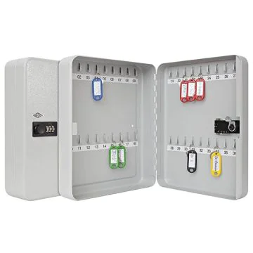 Armoire à clé murale - 36 clés - Serrure à code : WEDO Visuel