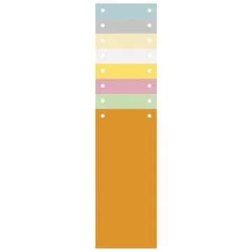 Intercalaires bristol - 240 x 105 mm - Assortiment EXACOMPTA visuel