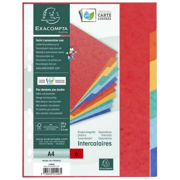 Jeu de 6 Intercalaires A4 en carte lustrée - Assortiment EXACOMPTA image