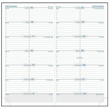 Agenda Semainier de poche 2025 EXACOMPTA SL17 - 175 x 90 mm