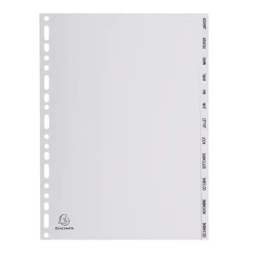 EXACOMPTA Jeu de 12 intercalaires mensuels en PP janvier à décembre 1812E