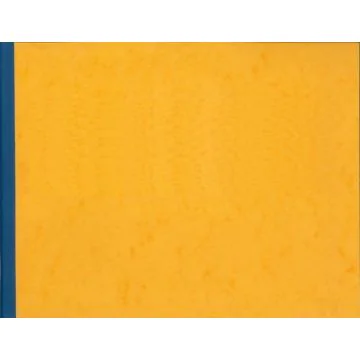 Registre à têtes paresseuses - 12 colonnes 100 pages - 250 x 320 mm : ELVE 184121