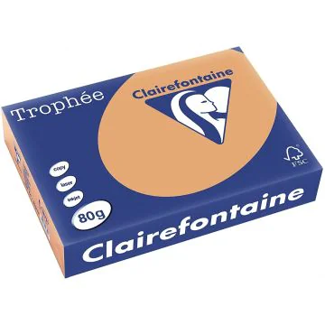 Ramette de papier Trophée de 500 feuilles A4 - Caramel : CLAIREFONTAINE Visuel
