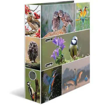 Classeur à 2 anneaux - Dos de 70 mm - Chevaux : HERMA image