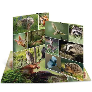 Chemise à élastiques A4 - Motif Animaux de la forêt : HERMA image